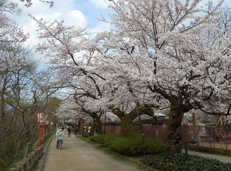Takaoka Castle Ruins, Japan